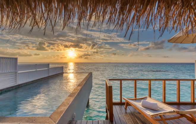 오젠라이프마두